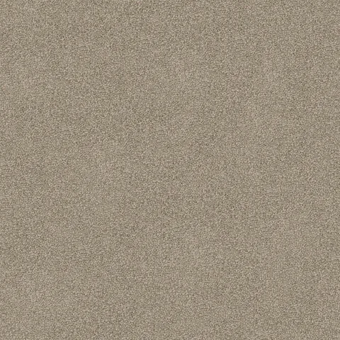 Oatmeal carpet swatch